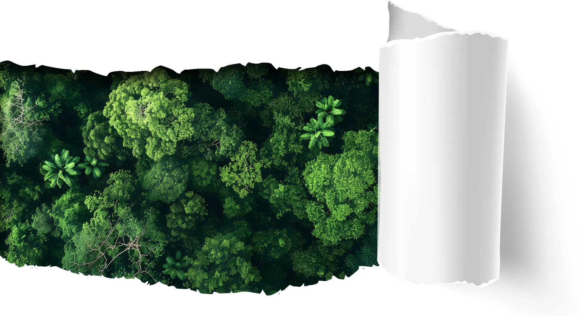 Sustainable paper and fibre materials